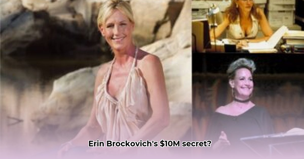net-worth-of-erin-brockovich